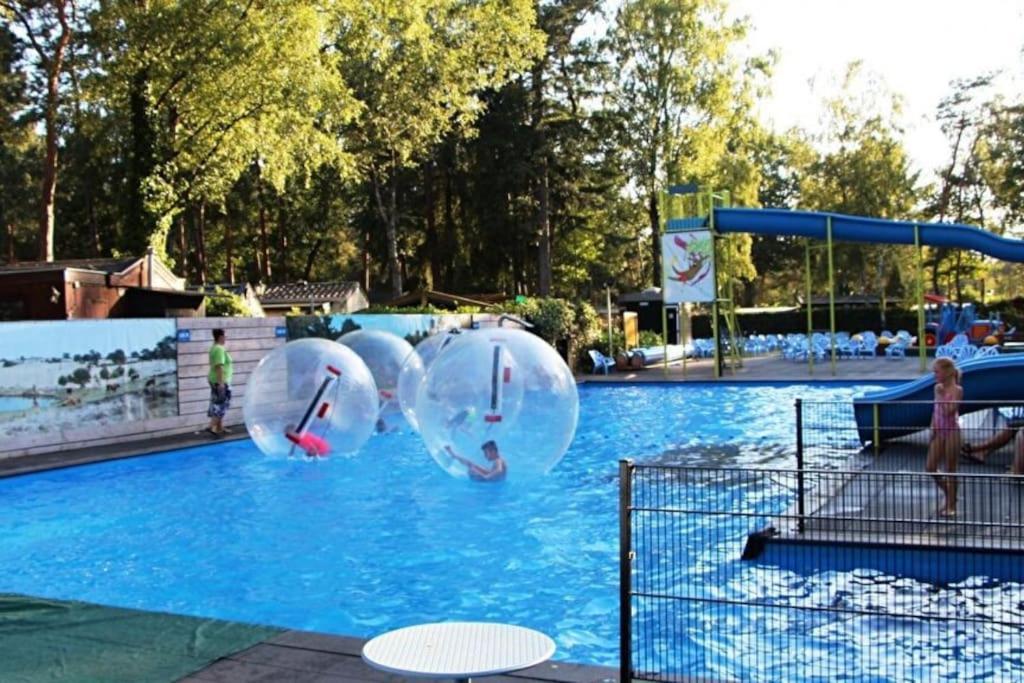 Te Huur: Leuke 4-Persoons Stacaravan Op Top Locatie! Hoenderloo Extérieur photo